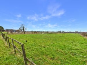 Paddock- click for photo gallery